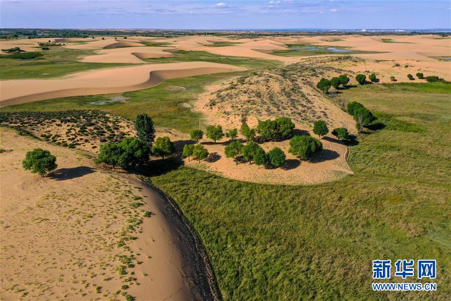 (在习近平新时代中国特色社会主义思想指引下——新时代新作为新篇章·习近平总书记关切事·图文互动)(10)绿意,在黄沙中铺展——我国防沙治沙纪实