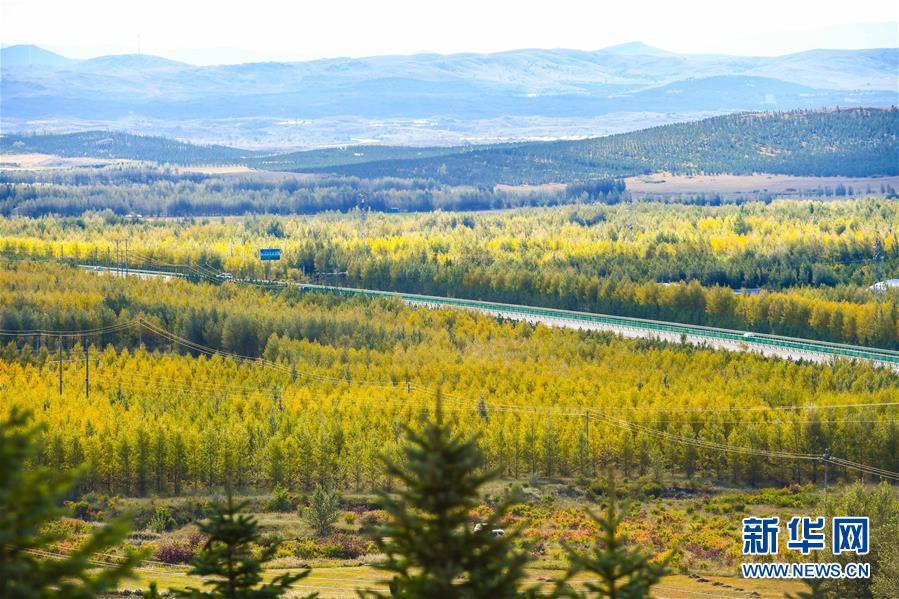 (在习近平新时代中国特色社会主义思想指引下——新时代新作为新篇章·习近平总书记关切事·图文互动)(7)绿意,在黄沙中铺展——我国防沙治沙纪实