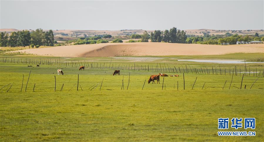 (在习近平新时代中国特色社会主义思想指引下——新时代新作为新篇章·习近平总书记关切事·图文互动)(9)绿意,在黄沙中铺展——我国防沙治沙纪实