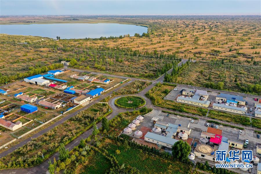 (在习近平新时代中国特色社会主义思想指引下——新时代新作为新篇章·习近平总书记关切事·图文互动)(12)绿意,在黄沙中铺展——我国防沙治沙纪实