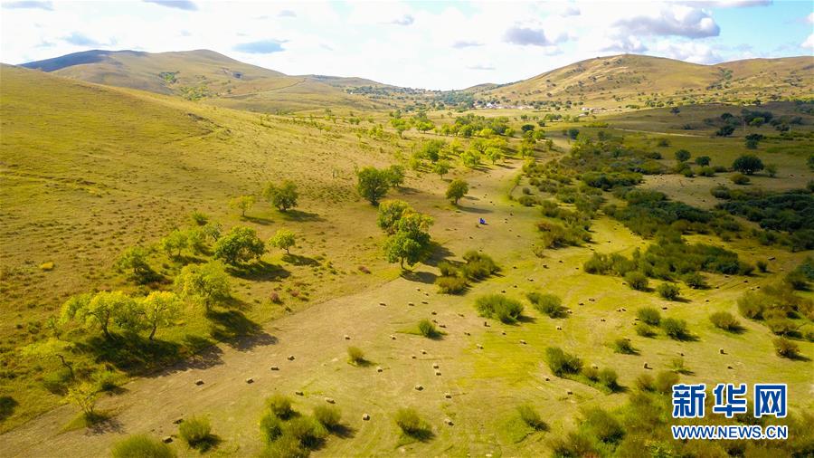 (在习近平新时代中国特色社会主义思想指引下——新时代新作为新篇章·习近平总书记关切事·图文互动)(4)绿意,在黄沙中铺展——我国防沙治沙纪实
