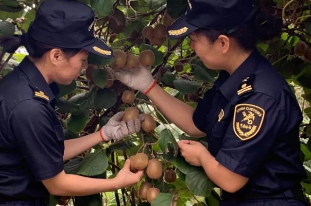 ƽ½��20����⨺��ҳ���Խ��