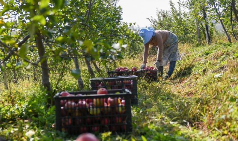 ƻ��Ʈ�����æ