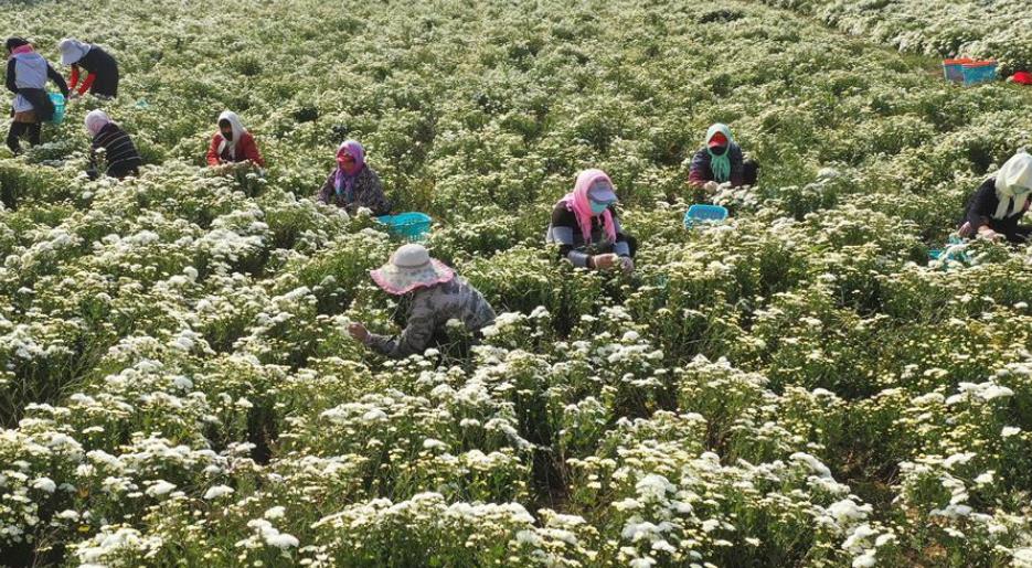 �ӱ����ϣ��ջ���Ʈ�¸�·