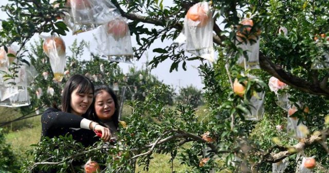 ��������������ʱ��ʯ���