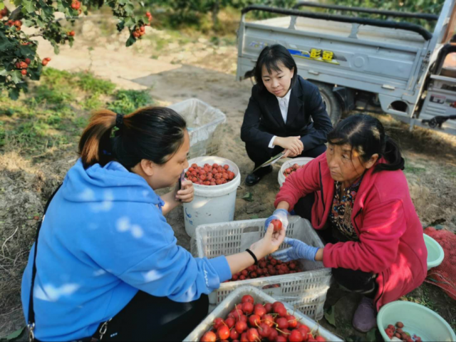 ���ũ����ҵ����Ӫҵ����˫���ڼ���ʵ�������ʷ���