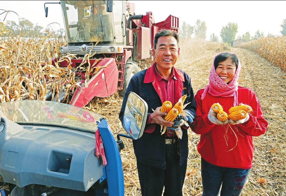 �������ո�æ