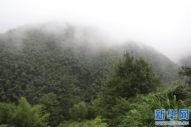 ����«Ϫ����ɽ��ҩ��