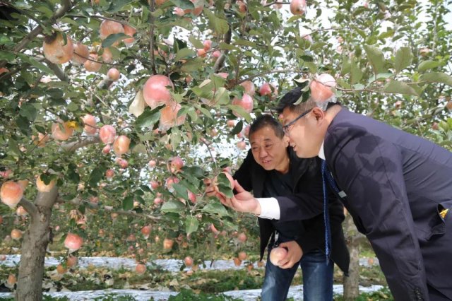 ����������ũ���� ���������������¸�·