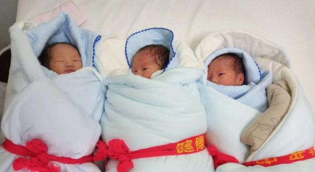 ����̥��������