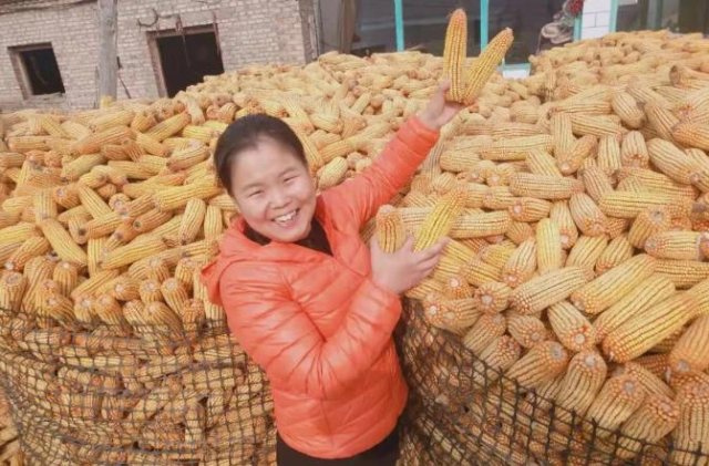 ��Դũ���ж���������