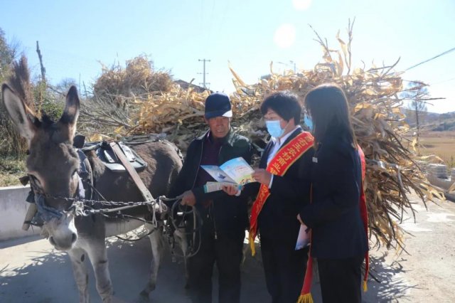 ����ũ�����У�ץ�á�����+����ע��ʵ�ɶ���