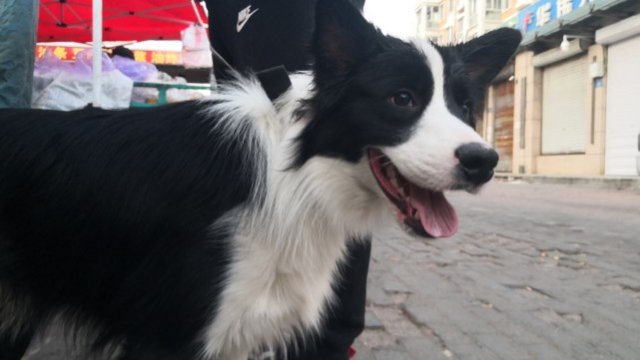 ���������������������˱�ҧ�� �������������