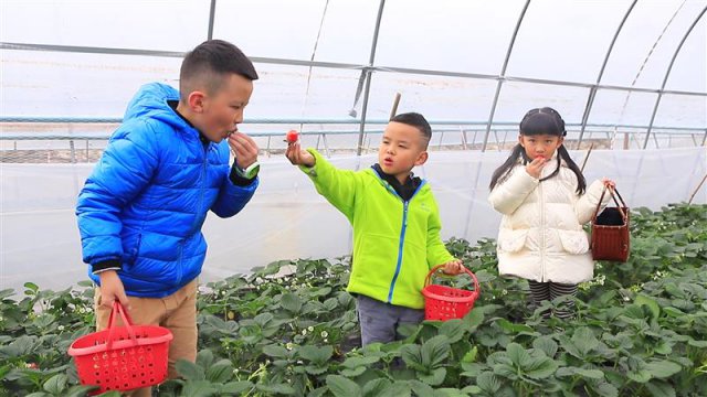 ����ʡ�����л�Ϫ�����򹫹�Ʒ�Ƶ�����