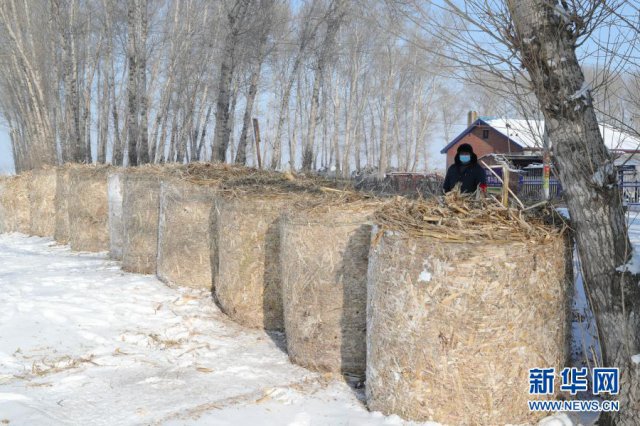 ũ��ս���ߡ��̰����ģ���ι�����ѣ�