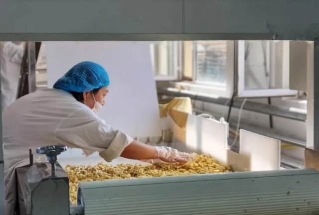 ����ũ����ץ����������������Ӫ������Ч