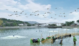 暖风拂遍南岭南