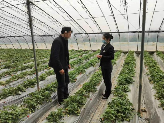 ����ũ��������ǰ֧�У����硱���Ĵ�����Ϣ