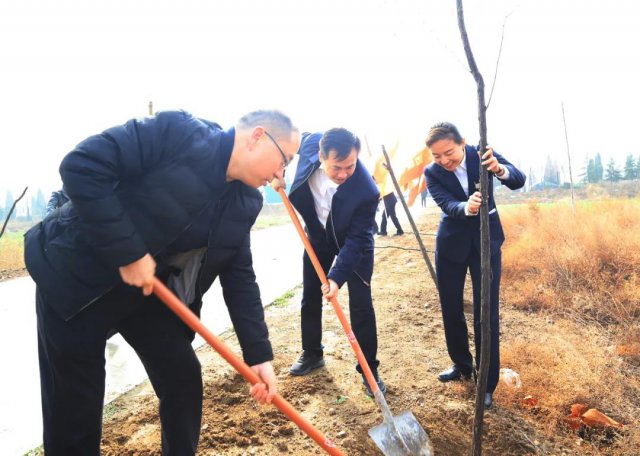 �˳������翪չ���������������ֲ���