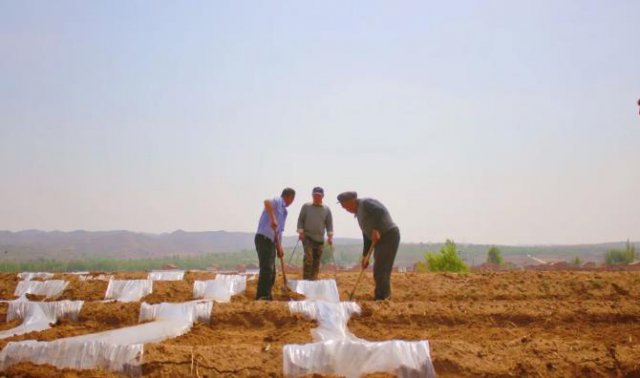 ���������硰�ʹ����硱Ϊ��������������ʱ��