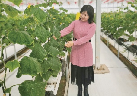 ��ʿ��ش����조���ε��䡱