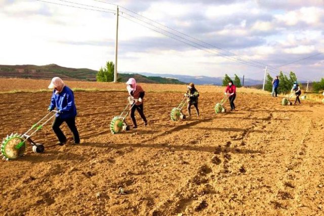 ��ͬũ�����׼�����֧�ִ�����������4462��Ԫ