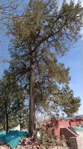  ֣��һ��400��Ű����ɱ������������������������