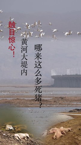 ��Ŀ���ģ��ƺӴ����������ô��������