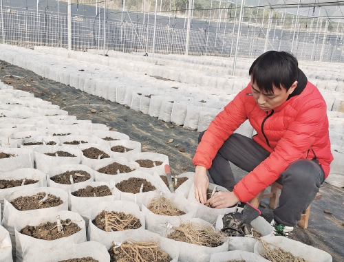 ���¡����Ĺ���������С��·