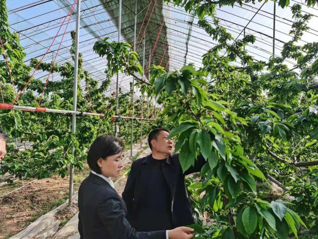  ӣ�Ҵ����ﻰ����