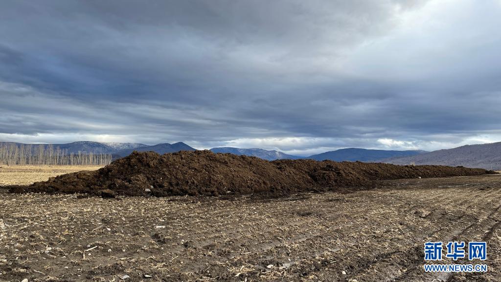 3��28�գ�������ʡ�峣��ɳ������̫�屻���ڵĺ��������ѻ����»������ ��˼�� ��