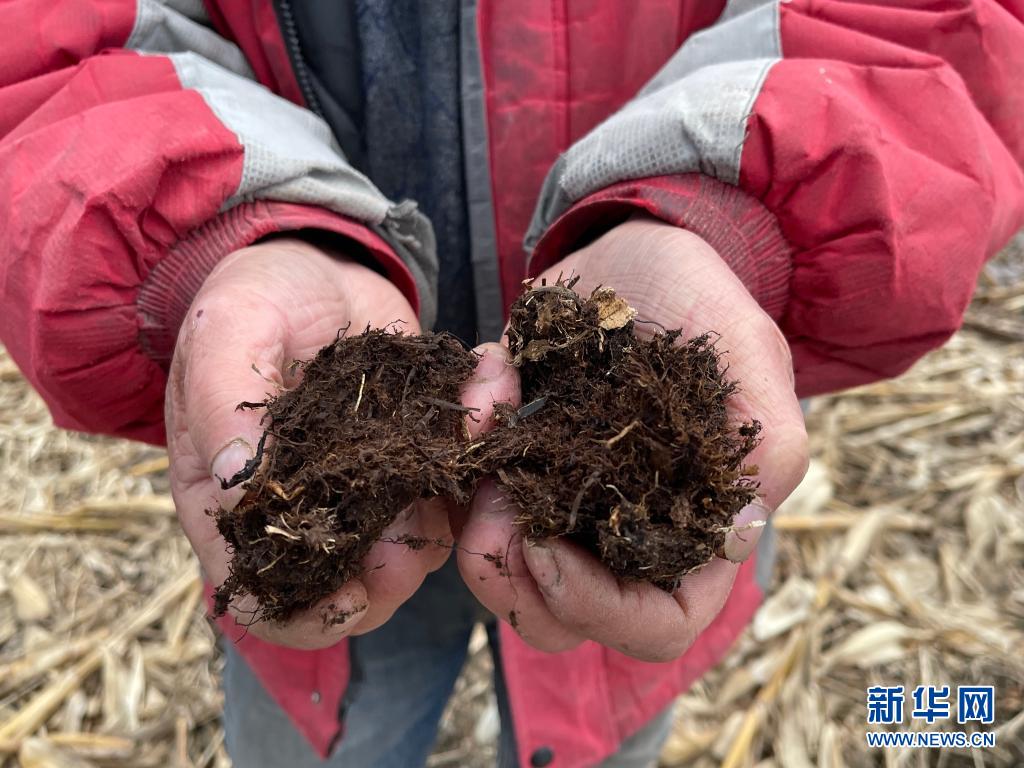 3��28�գ�������ʡ�峣��ɳ������̫����������չʾ�����ڵĺ������»������ ��˼�� ��