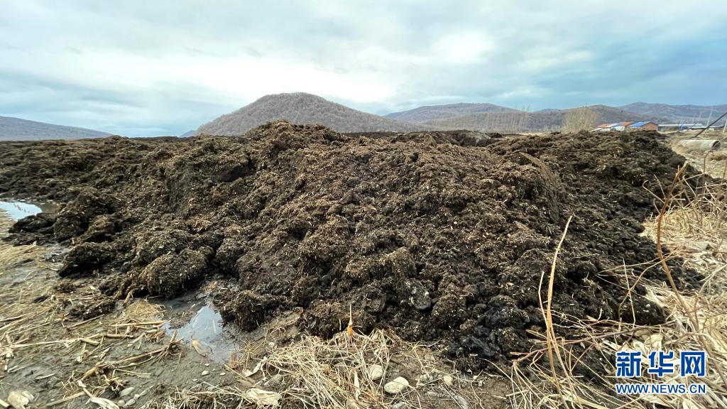 3��28�գ��ں�����ʡ�峣��ɳ������̫�屻���ڵĺ��������ѻ����»������ ��˼�� ��