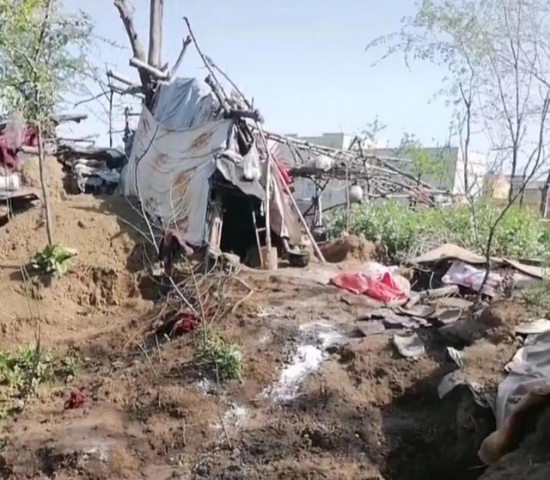 ��������ס���⡰�ܺ��ӡ��ƻ��������һ�أ�����ư�豻������