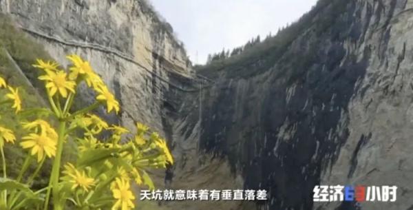 ����50����������̽���߷��ֻ��������ӣ���صġ��۱��衱