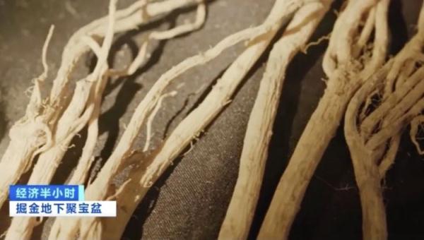 ����50����������̽���߷��ֻ��������ӣ���صġ��۱��衱