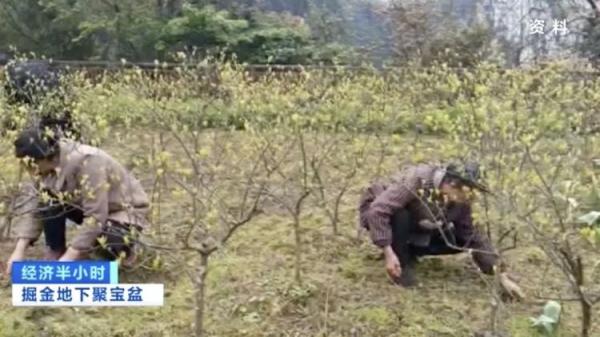 ����50����������̽���߷��ֻ��������ӣ���صġ��۱��衱