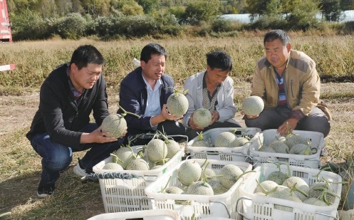 用真心 动真情 使真劲