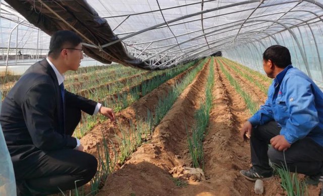 ���ũ������ǿ��������������