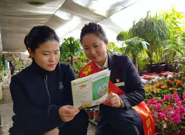 ��Դũ����ȫ���п�չ����ΪȺ�ڰ�ʵ�¡�