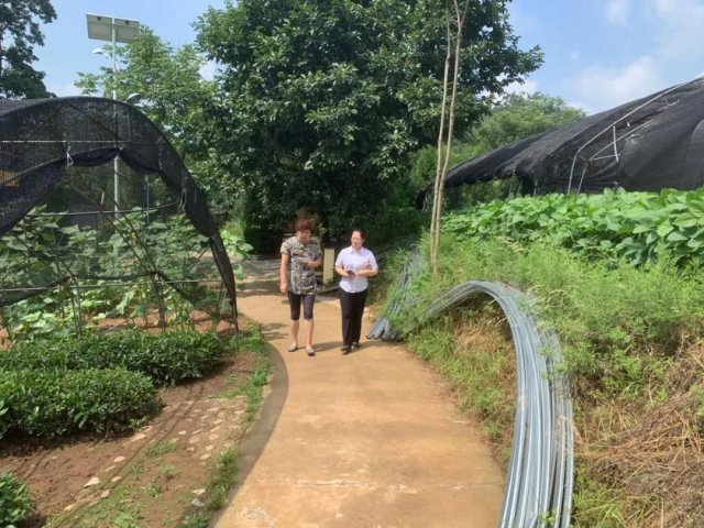 ����ũ�����У�֧�ֲ��ҵ��չ����������Ӯ��ģʽ