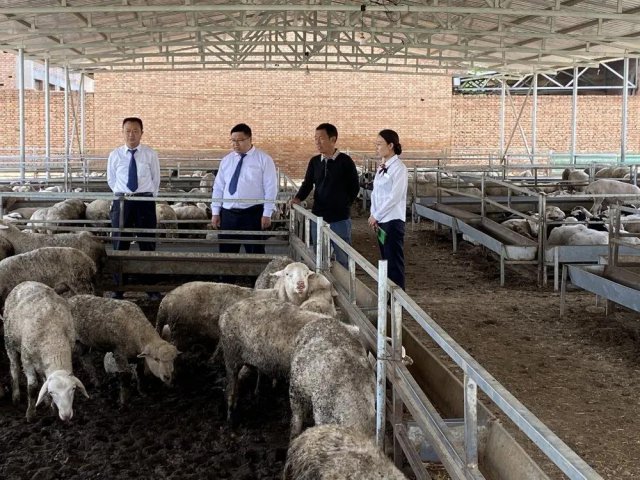 ��ϲũ������ũ�����򡱲� ��ͨũ���¸�·