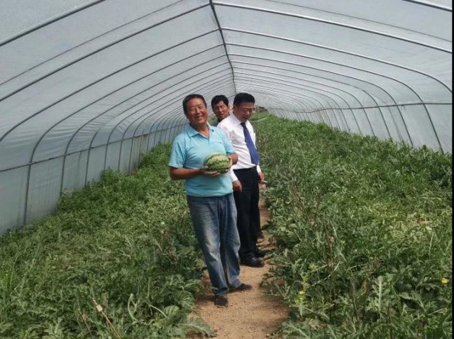 ��ϲũ������Ϊ�������ע�롰���ڻ�ˮ�� ��ǿ��ֲ��ҵ