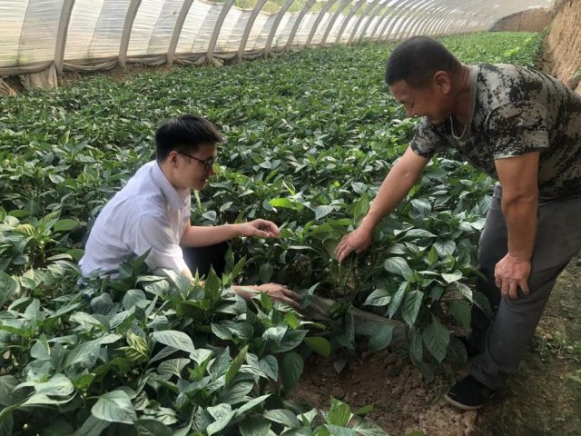 ����ũ����ҵ����С΢�������Ĵ����Ʒ�ʷ���