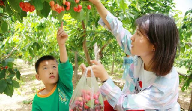 ���ũ������:��������ӣ�һ�����