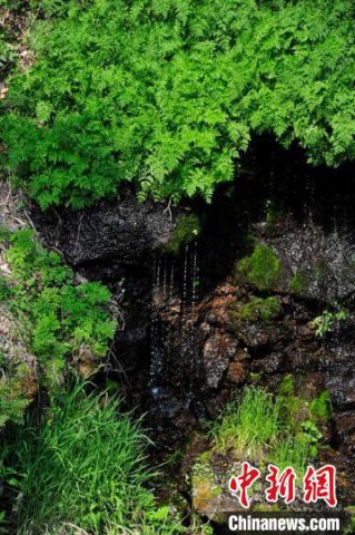 ���ְ�ɽ����ˮ��Դ �ñ�ӿɽȪ�������ƽ�Ч�桱