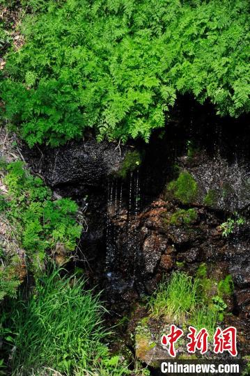 ����ɽ�����г�������Ȫ ������ ��