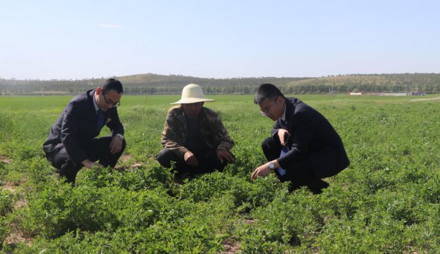 ����ũ�����У�ѧʷ���п��¾� �͡����������ʵ��