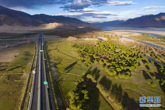 ���ء�ĸ�׺ӡ��ذ�������ɫ���ȡ�