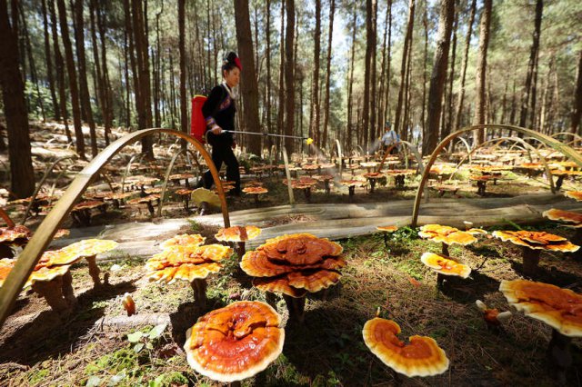 ���ݣ������֥����ǨȺ�ھ�ҵ���պá�������